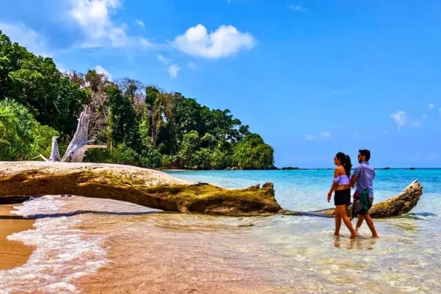 Andaman Honeymoon Paradise