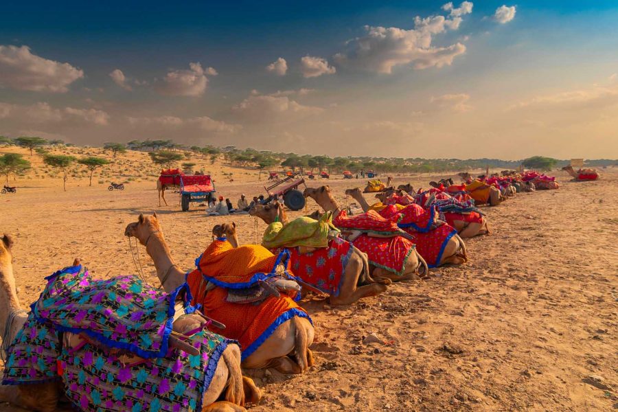 Rajasthan Desert Trail