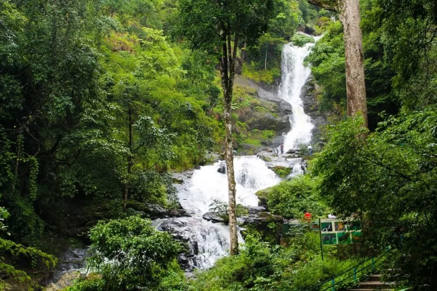 Coorg Coffee & Waterfalls
