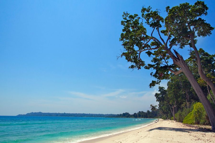 Neil Island Serenity