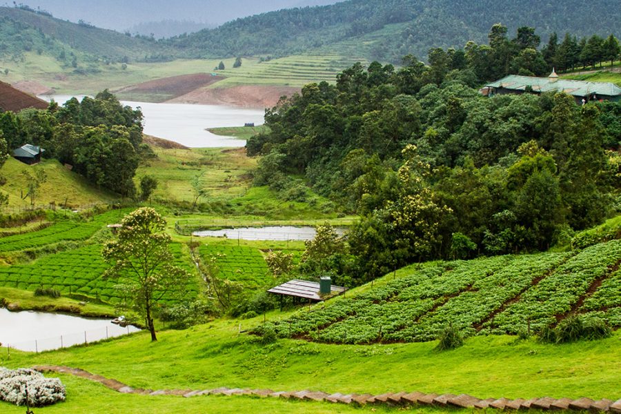 Ooty & Kodaikanal – Nilgiri Hills Escape