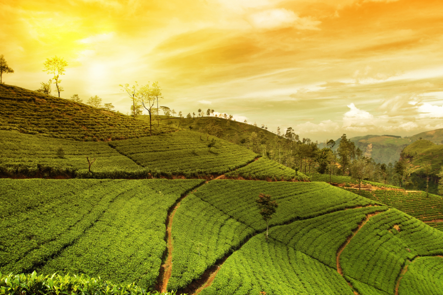 North East – Meghalaya & Assam