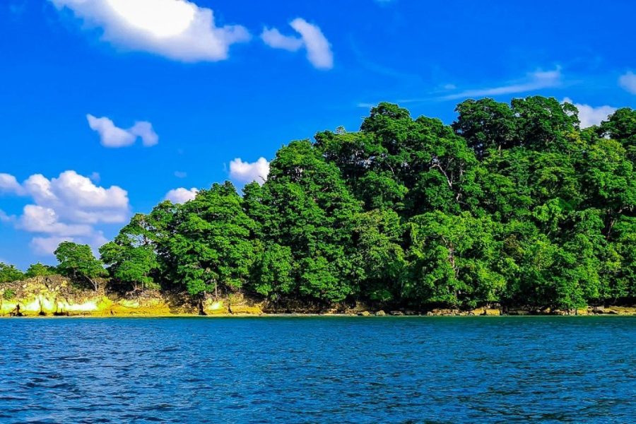 Andaman Tropical Escape