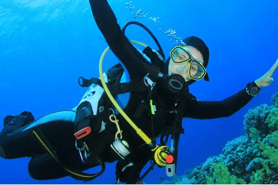 Konkan & Tarkarli Dive