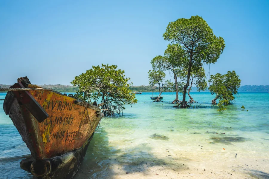 Andaman Heritage & Nature