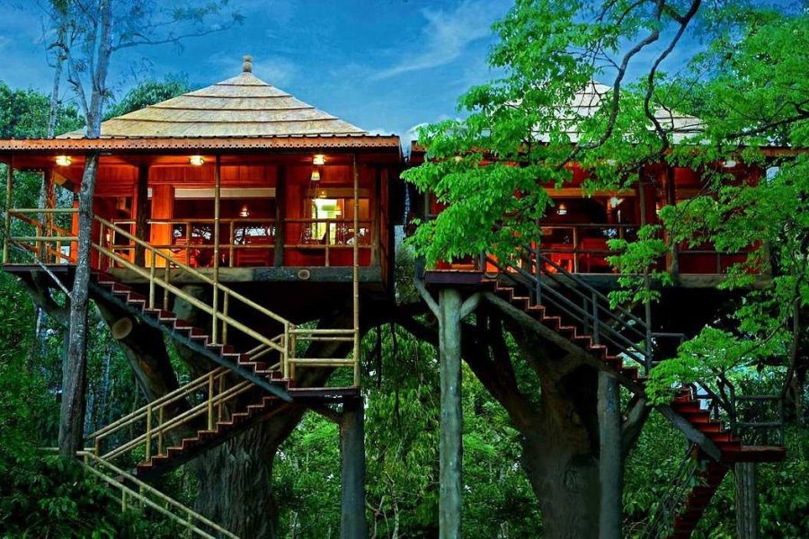 Kerala Treehouse Stay