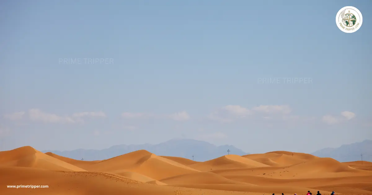 The Thar Desert Experience i Jaisalmer Travel Guide